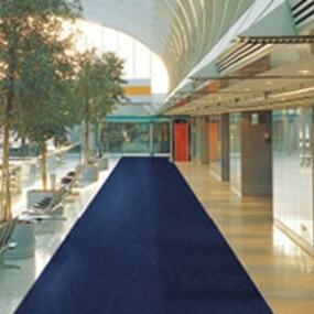 Moderner, heller Büroflur mit blauem Teppichboden, Glaswänden und großen Pflanzen.
